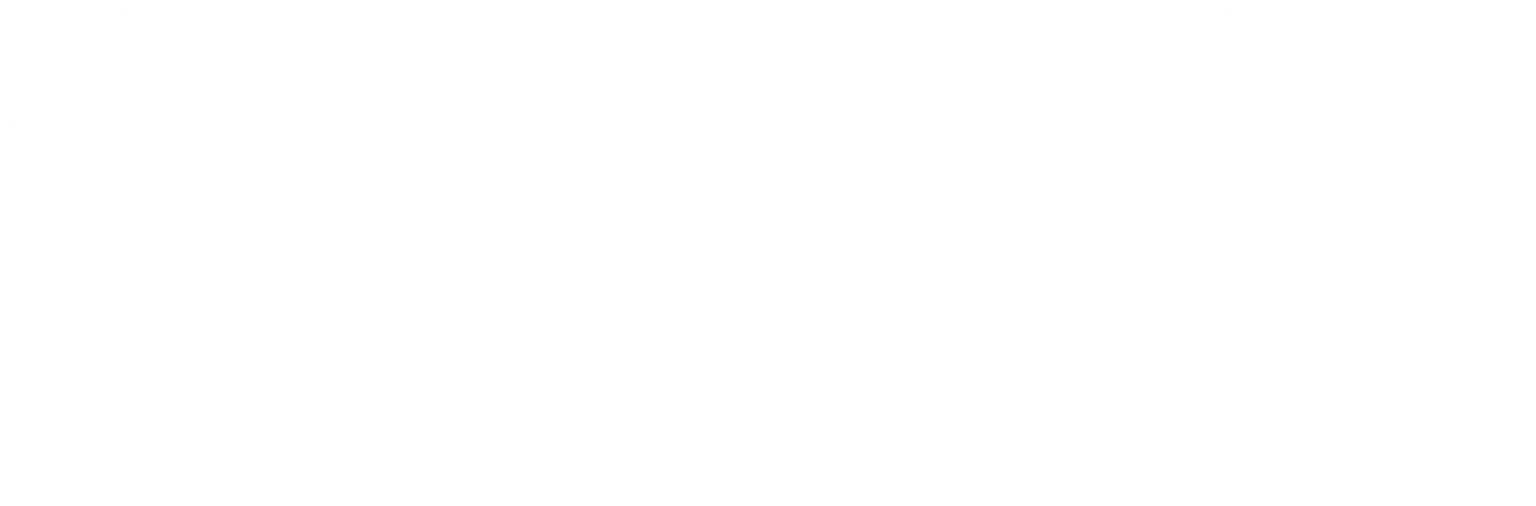 Google Reviews